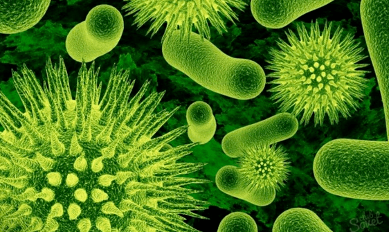 Virus causati dai parassiti