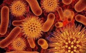 tipi di parassiti nel corpo umano